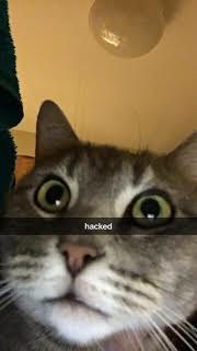 Baby Kitty hacked